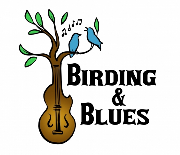Birding and Blues Logo in Illustrations
